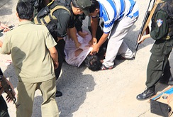 Bản tin NLĐ ngày 8-8