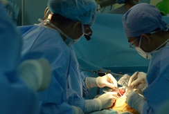Hiến tạng nhân đạo: 8 bệnh nhân bị bệnh hiểm nghèo được cứu sống