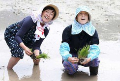 Clip: Đại sứ Mỹ tại Nhật Bản và đệ nhất phu nhân Akie Abe cấy lúa