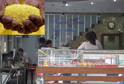 Bản tin NLĐ ngày 4-12: Bắt 2 người Trung Quốc bán 58 Kg vàng giả chấn động