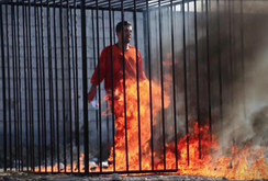 Phi công Jordan bị IS thiêu sống, Jordan thề trả thù “long trời lở đất”