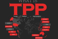 Bản tin NLĐ ngày 6-11