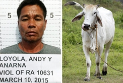 Philippines bắt giữ kẻ cưỡng hiếp hàng loạt động vật