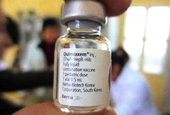Bản tin NLĐ ngày 22-12: Bộ Y tế cảnh báo lừa đảo vắc-xin dịch vụ