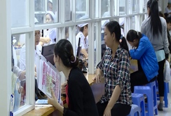 Chuyên đề: Thai phụ đối phó với dịch zika