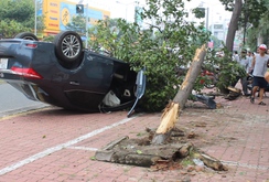 Ô tô 4 chỗ bay thẳng lên cành cây