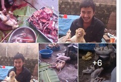 Bản tin NLĐ ngày 7-1: Thanh niên giết khỉ, đưa hình lên Facebook bị điều tra
