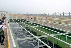 Bản tin NLĐ ngày 8-9: Bộ trưởng Trần Hồng Hà yêu cầu Formosa nuôi cá ở bể sinh học