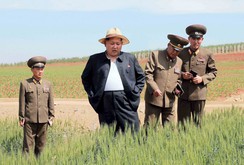 Bản tin NLĐ ngày 20-6: Kim Jong-un ra lệnh truy lùng gián điệp trên toàn quốc