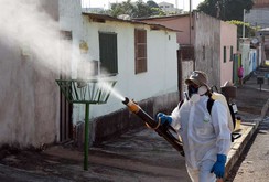 Phóng sự: Bùng phát dịch Zika ở Singapore, Việt Nam cần cảnh giác