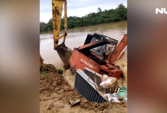 Đẩy máy xúc loại lớn xuống nước để hàn đê vỡ