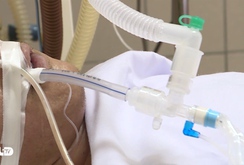 Bản tin NLĐ ngày 9-3: Liên tục có nhiều ca ngộ độc, Hà Nội truy tìm rượu độc