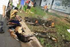 Bản tin NLĐ ngày 28-7: Kinh hoàng nghi phạm trộm chó bị dân đánh, đốt xe