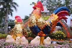 Bản tin đặc biệt chào mừng Xuân Đinh Dậu 2017