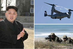 Bản tin NLĐ ngày 8-8: Đa số người Mỹ muốn dùng biện pháp quân sự với Triều Tiên