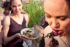 Clip: Xem Angelina Jolie chế biến, ăn dế, bò cạp, nhện ở Campuchia