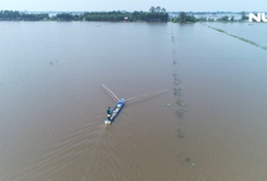 Phóng sự: Độc đáo nghề đẩy côn mùa nước tràn đồng