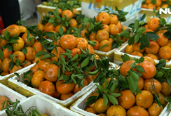 Trái cây chưng Tết tại chợ đầu mối Thủ Đức giảm sản lượng, giảm giá