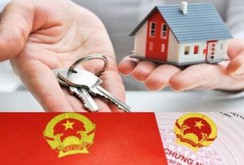 Núp bóng người Việt, người Trung Quốc thâu tóm “đất đẹp” tại Việt Nam Núp bóng người Việt, người Trung Quốc thâu tóm “đất đẹp” tại Việt Nam