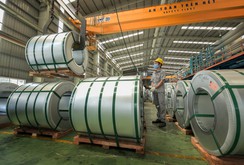 Hoa Sen không bị ảnh hưởng từ việc áp thuế của Mỹ Hoa Sen không bị ảnh hưởng từ việc áp thuế của Mỹ