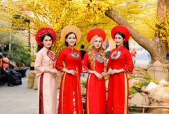 Rực rỡ phố ông đồ mừng Xuân Canh Tý 2020