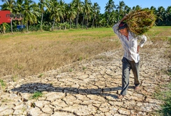 Mỗi tuần một chuyện: Khẩn cấp cứu miền Tây trước sự tấn công của hạn, mặn