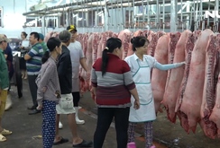 Giá heo hơi ổn định, đủ nguồn cung cho thị trường Tết