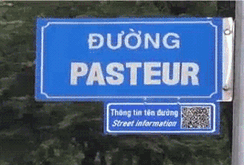 Trải nghiệm tra cứu thông tin tên đường qua mã QR tại TP HCM
