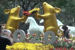 Người dân nô nức đến Hội hoa Xuân lớn nhất TP HCM chụp ảnh