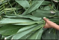 Nhộn nhịp chợ lá dong ngã ba Ông Tạ