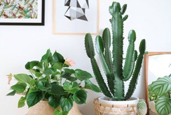 5 ý tưởng trang trí bằng giỏ đan lát giúp nhà thêm xinh và phong cách