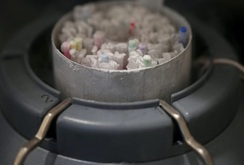 Các nhà khoa học muốn đưa 6,7 triệu mẫu tinh dịch lên Mặt Trăng