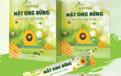 Phúc Lộc Thọ Honey và KingBee: Tinh hoa mật ong Việt chinh phục thị trường