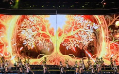 Ấn tượng với Lễ hội Trà quốc tế 2025