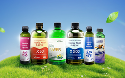 Kiềm thảo dược Saphia: Hành trình đồng kiến quốc từ thảo dược Việt