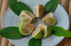 Về miền Tây tần ngần ăn trái bần chua Về miền Tây tần ngần ăn trái bần chua