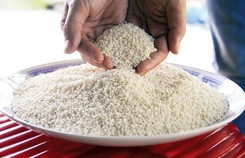Lạ lùng loại nếp đắng ở Quảng Nam Lạ lùng loại nếp đắng ở Quảng Nam