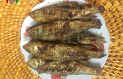 Độc đáo món cá suối Tấc Phù Yên, Sơn La Độc đáo món cá suối Tấc Phù Yên, Sơn La