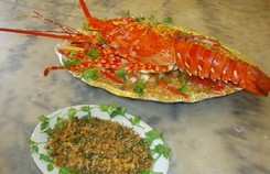 Khám phá món tiết canh tôm hùm - đặc sản Vũng Tàu ngon nức tiếng Khám phá món tiết canh tôm hùm - đặc sản Vũng Tàu ngon nức tiếng