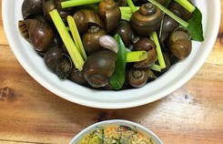 Hướng dẫn cách luộc ốc ngon tại nhà Hướng dẫn cách luộc ốc ngon tại nhà