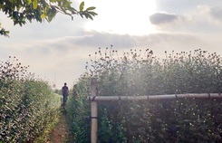 Lời thú tội của bạn gái trước đám cưới khiến tôi chết lặng Lời thú tội của bạn gái trước đám cưới khiến tôi chết lặng