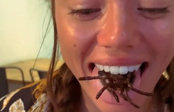 Quán phục vụ món nhện tarantula và côn trùng Quán phục vụ món nhện tarantula và côn trùng