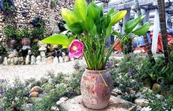 Vợ báo tin có thai, tôi đưa cho tờ giấy khiến cô ấy òa khóc Vợ báo tin có thai, tôi đưa cho tờ giấy khiến cô ấy òa khóc