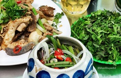 Mắt cá ngừ đại dương và loạt món ngon không nên bỏ qua tại Phú Yên Mắt cá ngừ đại dương và loạt món ngon không nên bỏ qua tại Phú Yên