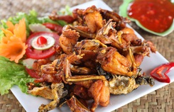 Hướng dẫn cách làm món ếch nướng muối ớt đậm đà dân dã Hướng dẫn cách làm món ếch nướng muối ớt đậm đà dân dã