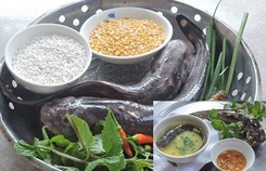 Thương con cá ngát sông Thu Bồn Thương con cá ngát sông Thu Bồn