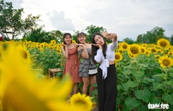 Thỏa thích 'tung tẩy' giữa cánh đồng hoa rực rỡ tại quận 9 Thỏa thích 'tung tẩy' giữa cánh đồng hoa rực rỡ tại quận 9