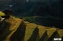 Đuổi theo mặt trời ngắm ruộng bậc thang đẹp như tranh vẽ Đuổi theo mặt trời ngắm ruộng bậc thang đẹp như tranh vẽ