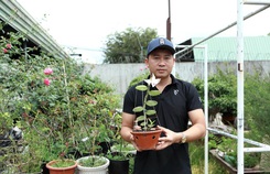 Phạm Thăng Bằng và gia sản lan rừng của chàng trai phố núi Phạm Thăng Bằng và gia sản lan rừng của chàng trai phố núi