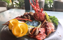 Sau 'cháo ếch Singapore', Lion City sắp có thêm thương hiệu mới Ok-lah Sau 'cháo ếch Singapore', Lion City sắp có thêm thương hiệu mới Ok-lah